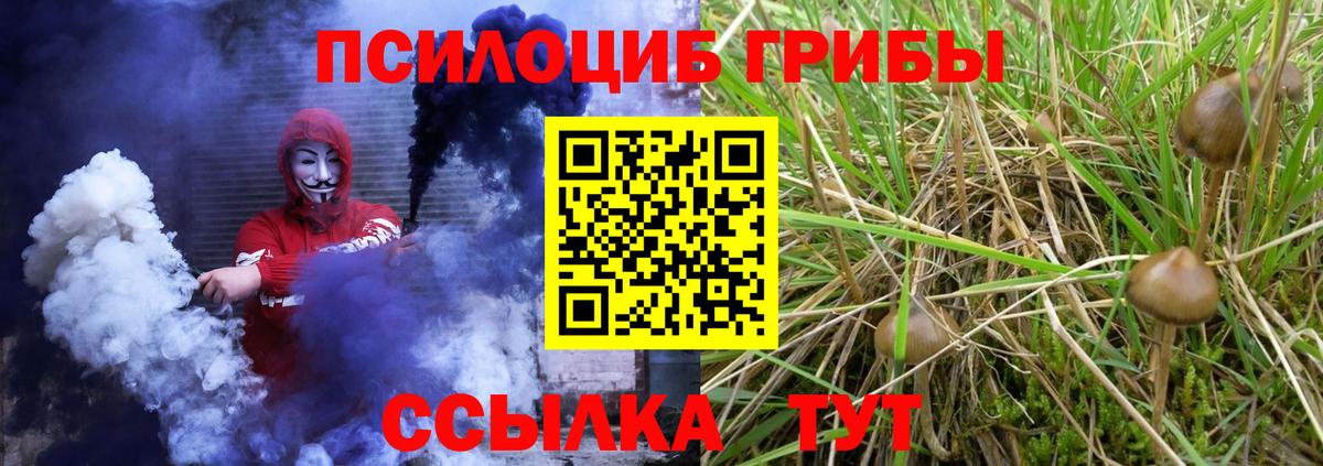 Псилоцибиновые грибы Psilocybe Ливны