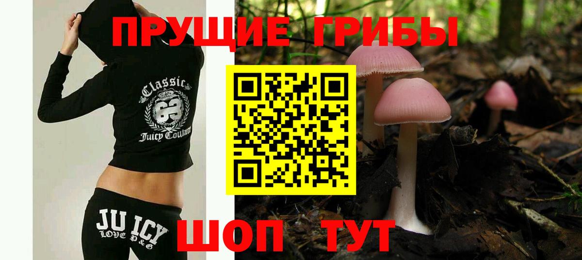 Галлюциногенные грибы Magic Shrooms  Вход с VPN  Ливны 